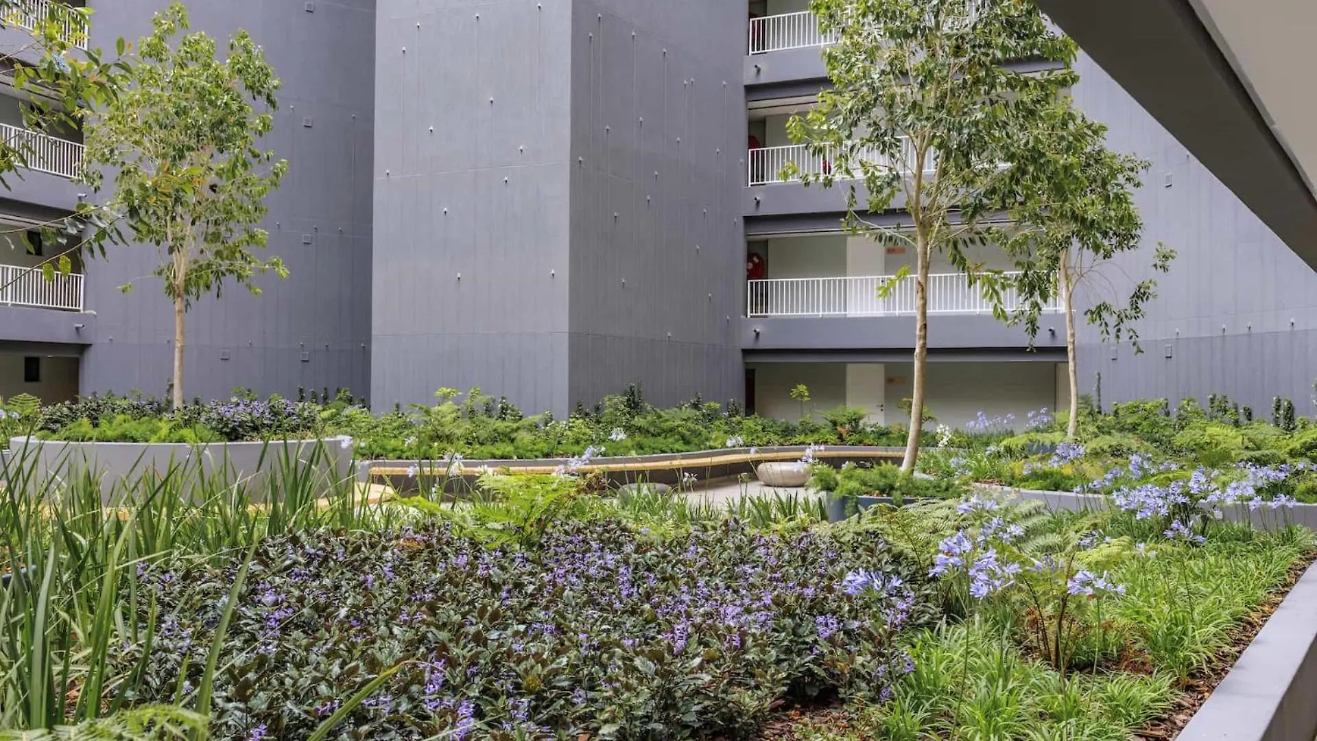 Apartment Apart-Hotel In Newlands Cape Town South Africa